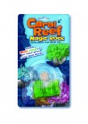 Wachsende Koralle / Coral Reef - Magic Rock