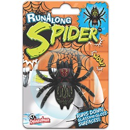 Fensterläufer Spinne / runalongs spider