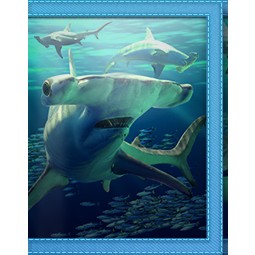 3D LIVELIFE Brieftasche Hammerhaie / Wallet Hammerhead Sharks