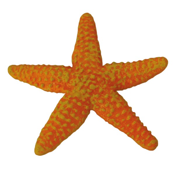 Mini Tierfigur Seesterne / Mini Animal Adventure Replicas Starfish