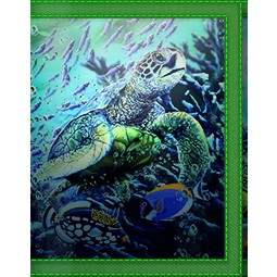 3D LIVELIFE Brieftasche Meeresschildkröte / Wallet Sea Turtles