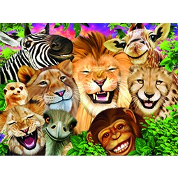 3D LIVELIFE Postkarten / wilde und exotische Tiere